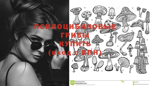 тгк Алексеевка