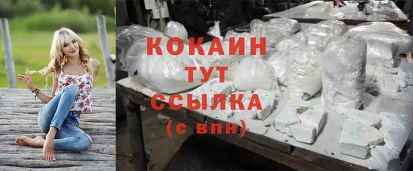 дживик Аркадак