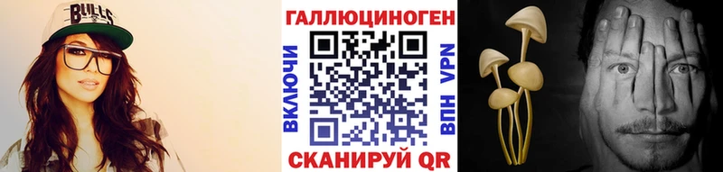 где купить   Верещагино  MEGA   Псилоцибиновые грибы Cubensis 